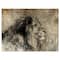 Designart - Lion in Sepia - Animal Canvas Art Print